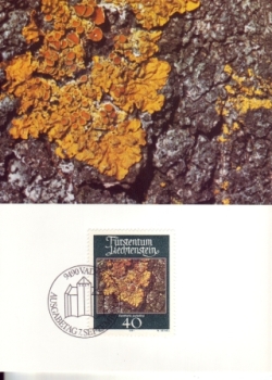FL 0776 / 0779 MC ● - 1981